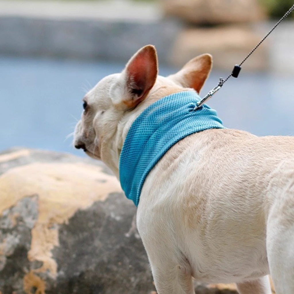 Summer Pet Scarf Cool Cooling Dog Scarf