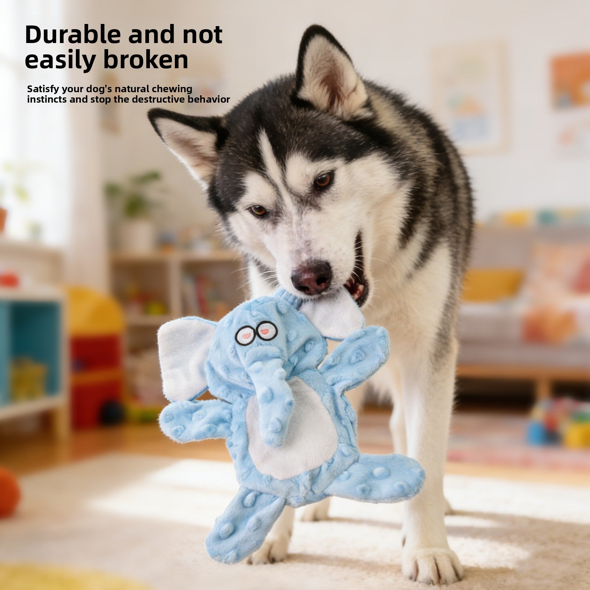 Squeaky Chew Toy for Dogs